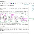 수능특강 생명과학1 사람의 유전 3점 6번문제(사진 있습니다.) 이미지