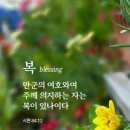 삼일교회내