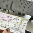 합성옛길시장 | 부산&amp;창원 2박3일 먹방여행기 창원편 후기 (야구 창원 nc파크 기아, 마산가옥, 페로어페로)
