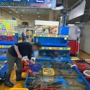 주원양만 - 3203 | 속초 현지인 추천 청호활어회센터 맛집 28호 주원수산 회포장 가격 가성비 최고