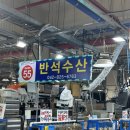 반석수산 | 10월 제철해산물 반석수산 대하구입 및 찜 포장 후기