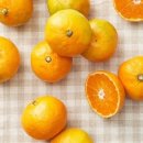 이른아침 캠핑장 이미지