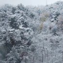 데굴데굴 네이버블로그