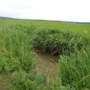 흥농농장 이미지