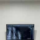 본본정형외과의원 이미지