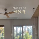 제주하뭄 이미지