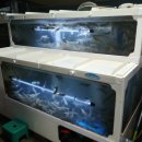 부부실내포장마차 이미지