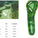 티그린 골프존 이미지