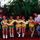 서곡초등학교 병설유치원 이미지