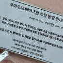 우아모레