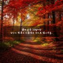 10월 인사말 문구 이미지 모음 이미지