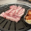 꼬야애견 이미지