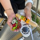 금정산 | 부산 금정산 후기