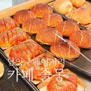 도란도란애견푸드 | 남양주 베이커리카페 섬세한 감각의 소금빵 맛집 '솔몽'