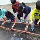 에코팜잉협동조합 이미지