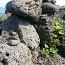 해광민박 이미지