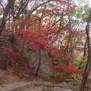 보륭약국 이미지