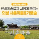 1727 | 선비의 숨결과 서정이 흐르는 곳: 의성 사촌마을 만취당 &amp; 사촌가로숲 산책길