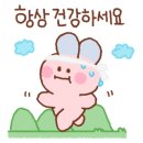 더젤 네이버블로그