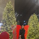 유한내추럴 | 용산 한남동 미쉐린 빕구르망 유한 YOUHAN | 분위기 좋은 고급 타이 비스트로에서 기념일 🎂