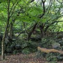 동광로1길 32-3 이미지