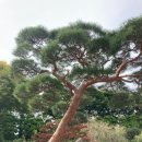 수목원파크 이미지