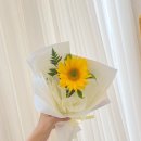 신월동179 이미지