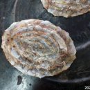 양어장상회 이미지