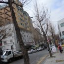 호구포로 이미지