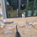 풀꽃펜션 이미지