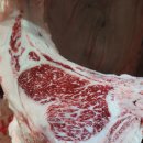 자인가든 이미지