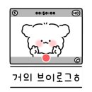 베티짐 이미지
