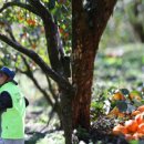 금호종합사회복지관 이미지