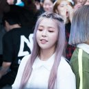 곰돌 이미지
