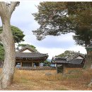 석탄정(石灘亭) 이미지