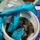 더리치빌(2차) 이미지