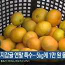 서부농협 APC 이미지