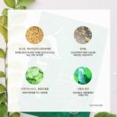 알프츠 | [cosmetic] 알프츠 누보바세 모이스처&카밍 마스크
