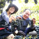 박종진 농장 이미지