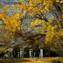 하곡경로당 이미지