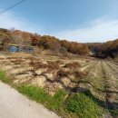 양지농장 이미지