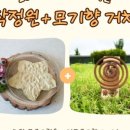 새싹공원 이미지