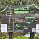 완주편백숲으로