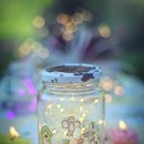 (주)무주리조트차량정비고 | 지역별 소규모 축제 중 생태 감성 최고 – 무주 반딧불 체험 축제