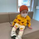 쥬땜므 - 군포시 군포로464번길 18 | 베베드피노 쥬땜므푸들맨투맨티셔츠 후기 BP21TM371