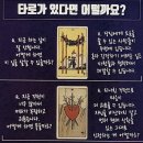 일상에서 활용 가능한 타로 기초 | 타로카드보는법 교양동스쿨 인강으로 독학부터 실전까지 완벽 정복하기