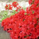 쉴만한 물가 이미지