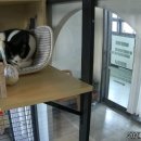 호텔이냥 이미지