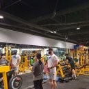 마블짐휘트니스 이미지