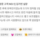 진심담따